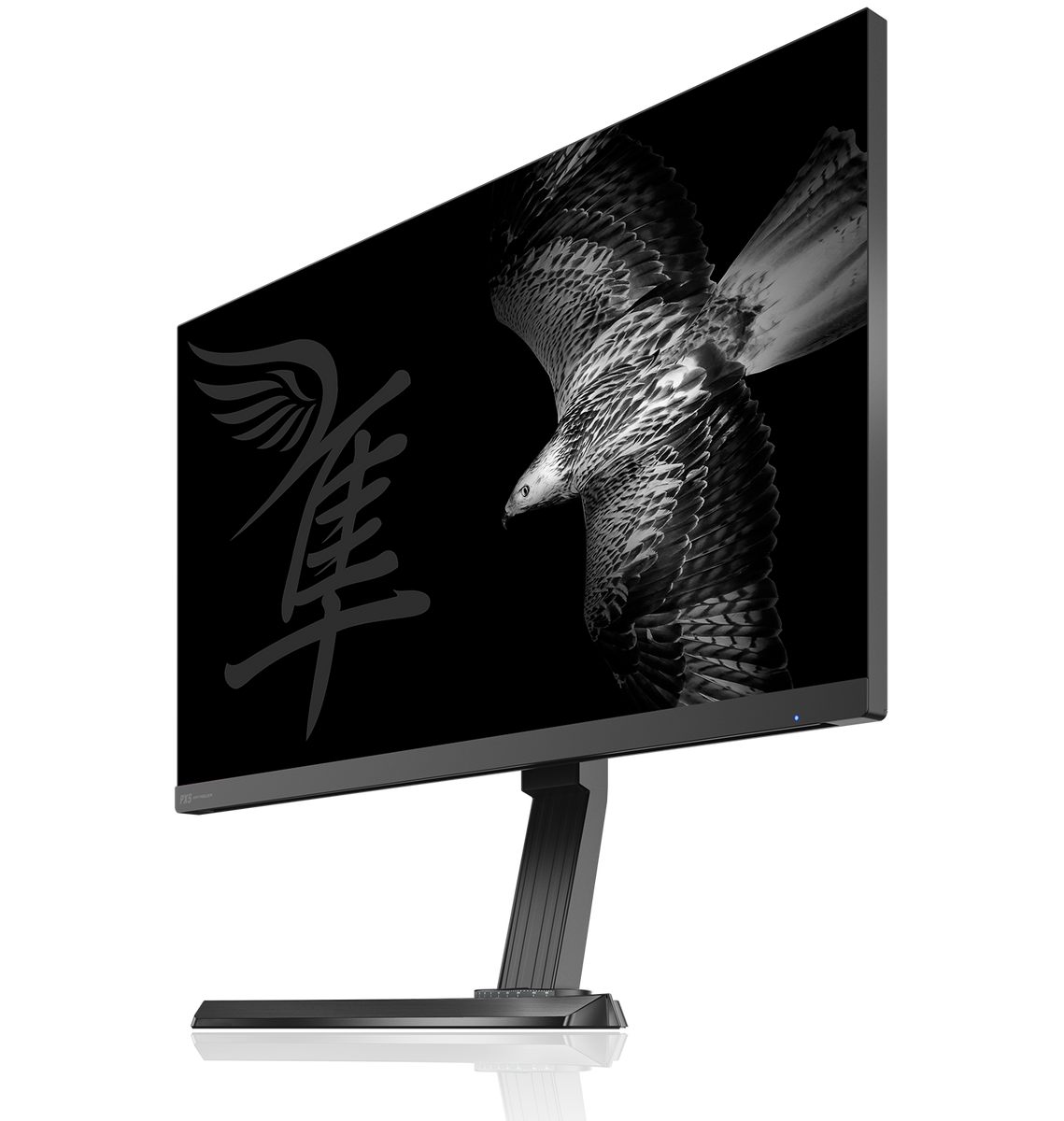 Pixio PX5 Hayabusa | 25 inch 1080p 240Hz 0.6 ms eSports Gaming